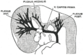 Thumbnail for version as of 17:28, 18 May 2026