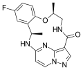 Thumbnail for version as of 19:03, 22 May 2026