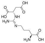 File:Argininosuccinic acid.svg