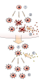Thumbnail for version as of 22:13, 18 May 2026