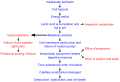 Thumbnail for version as of 22:34, 8 June 2026