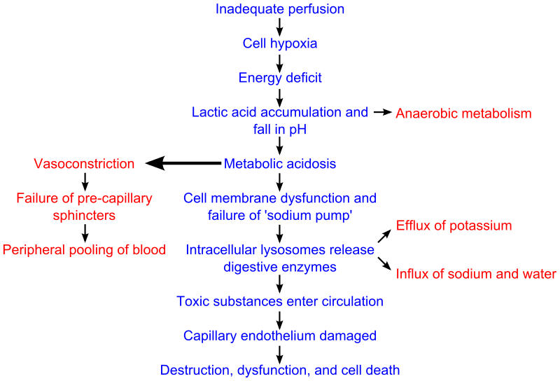 File:Shock-cell2.svg