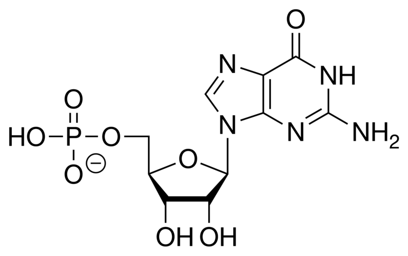 File:GMP chemical structure.png