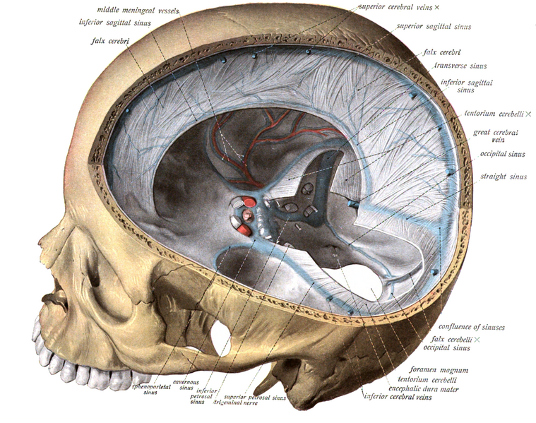 File:Sobo 1909 589.png