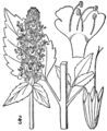 Thumbnail for version as of 19:21, 4 June 2026