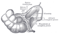 Thumbnail for version as of 17:28, 18 May 2026