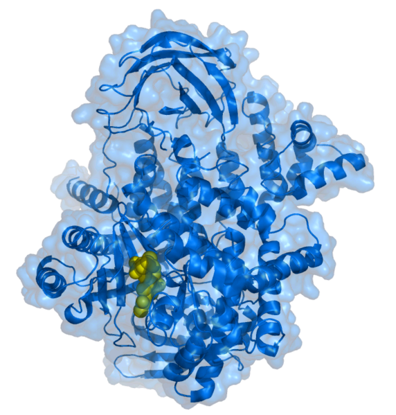 File:PI3kinase.png