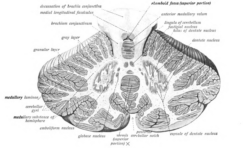 File:Sobo 1909 658.png