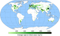 Wheat yield