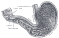 Thumbnail for version as of 17:28, 18 May 2026