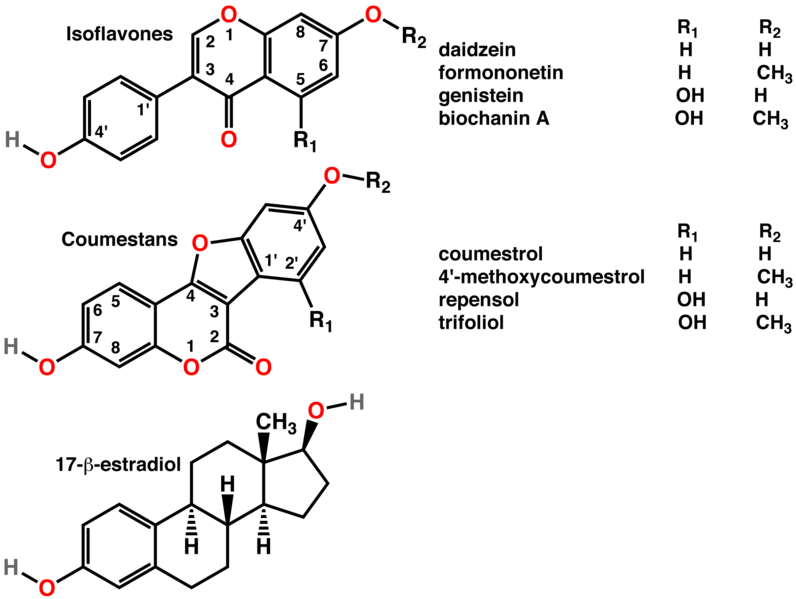 File:Phytoestrogens2.png