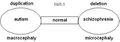 Thumbnail for version as of 09:19, 30 May 2026