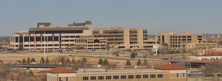 File:TTU HSC.JPG