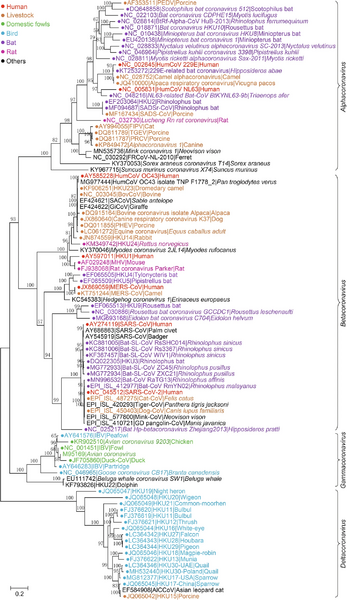 File:44149 2021 5 Fig3 HTML.webp