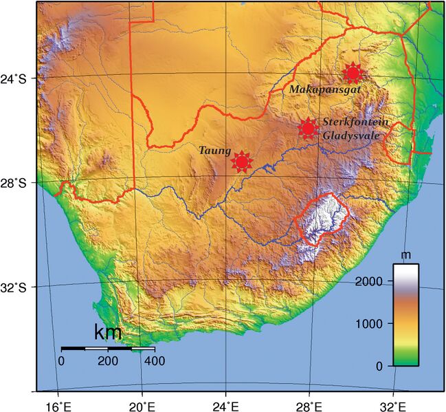 File:Africanus south africa.jpg