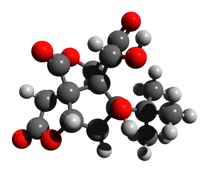 File:Bilobalide 3d structure.png