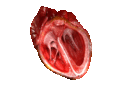 Thumbnail for version as of 02:06, 7 June 2026