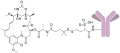 Thumbnail for version as of 18:52, 21 May 2026