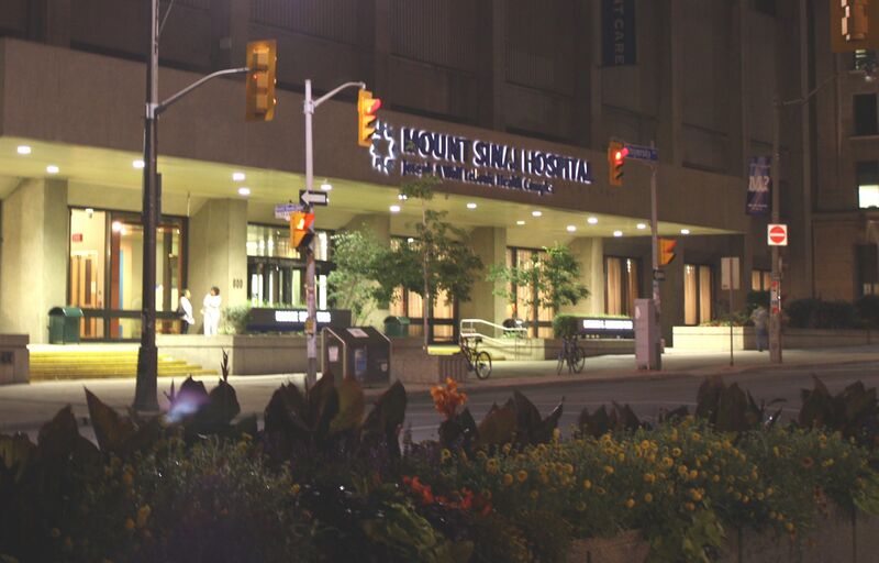 File:Mount Sinai Hosp Toronto6486.jpg