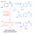 Thumbnail for version as of 15:40, 25 May 2026