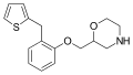 Thumbnail for version as of 19:03, 22 May 2026