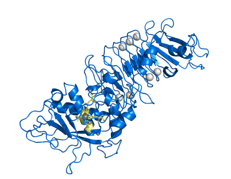 File:1SAT.png