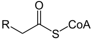 File:Acyl-CoA2.svg