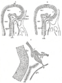 Thumbnail for version as of 17:28, 18 May 2026