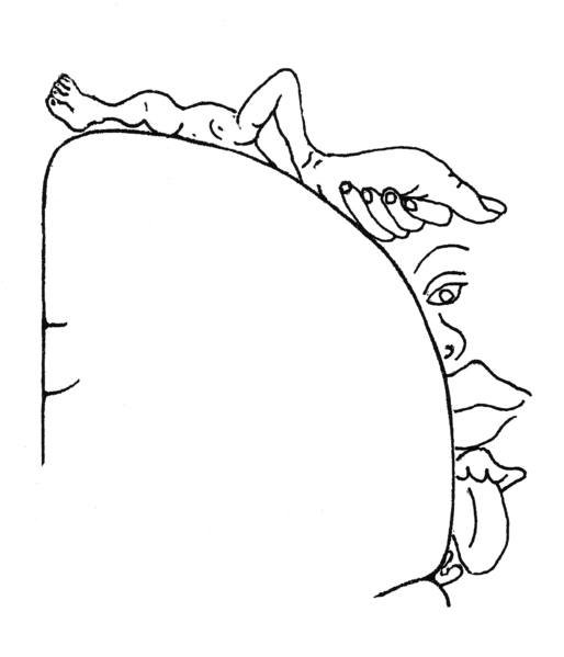 File:Sensory Homunculus.png