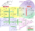 Progesterone
