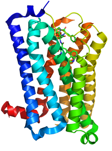 File:4IAR.png