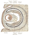 Thumbnail for version as of 17:28, 18 May 2026