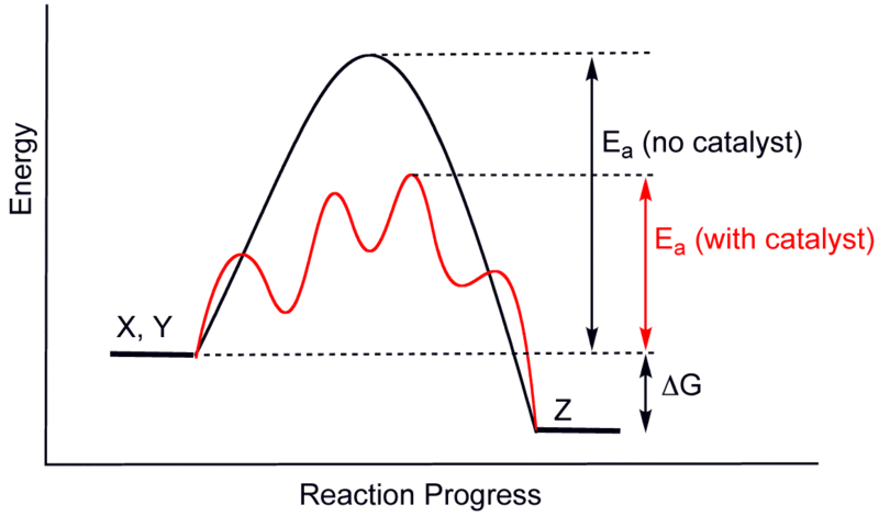 File:CatalysisScheme.png