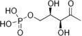 Thumbnail for version as of 02:09, 24 May 2026
