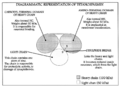 Thumbnail for version as of 13:38, 8 June 2026