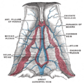 Thumbnail for version as of 17:27, 18 May 2026