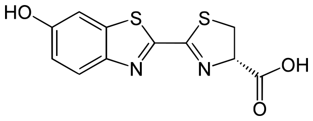 File:Firefly luciferin.svg
