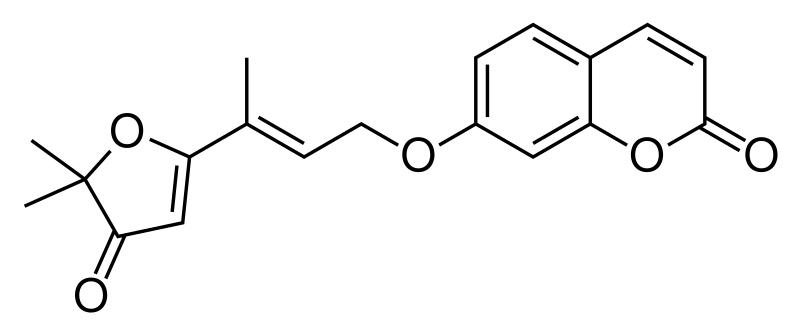File:Geiparvarin.svg