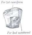 Thumbnail for version as of 17:27, 18 May 2026
