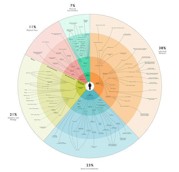 File:Social Determinants of Health Infoviz.jpg