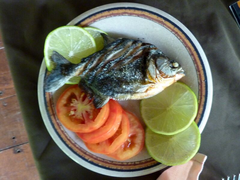 File:2010-0117-Peru-piranha.jpg