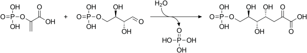 File:DAHP synthase reaction.svg