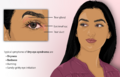 Ophthalmic drug administration