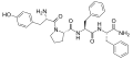 Endomorphin 2 structure