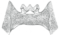 Thumbnail for version as of 17:27, 18 May 2026