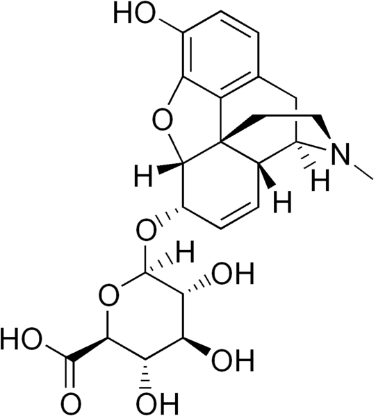 File:Morphine 6-glucuronide.png