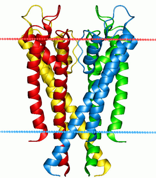 File:1r3j.png