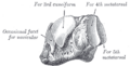 Thumbnail for version as of 17:28, 18 May 2026