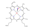 Nitrosyl Heme