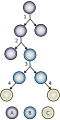 Thumbnail for version as of 12:50, 29 May 2026